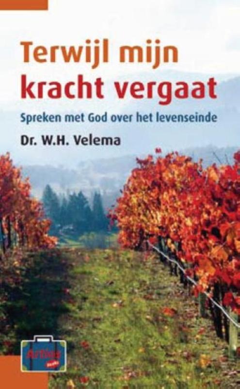 Productafbeelding: voorkant van Terwijl mijn kracht vergaat