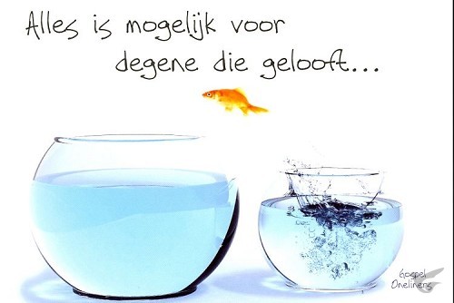Productafbeelding: voorkant van Prentbriefkaart alles is mogelijk