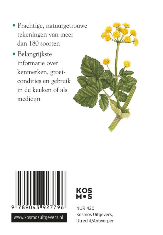Productafbeelding: achterkant van Compactgids Kruiden