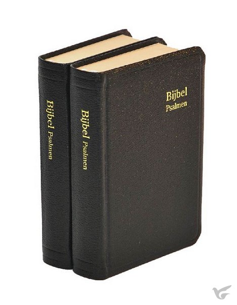 Productafbeelding: voorkant van Herenzakbijbel H31 RITMISCH kunstleer