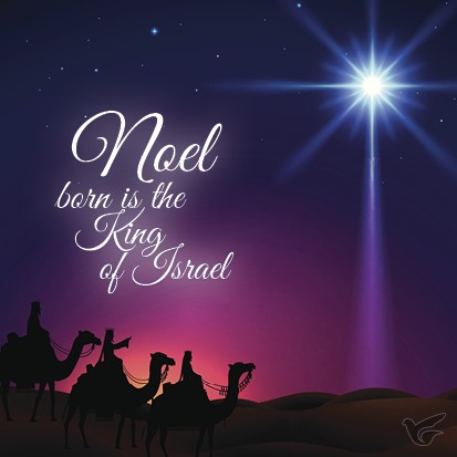 Productafbeelding: voorkant van Kerstkaart noel
