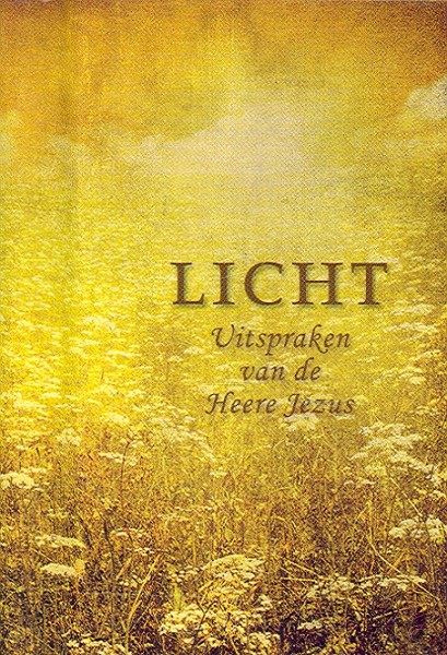 Productafbeelding: voorkant van Pareltje licht