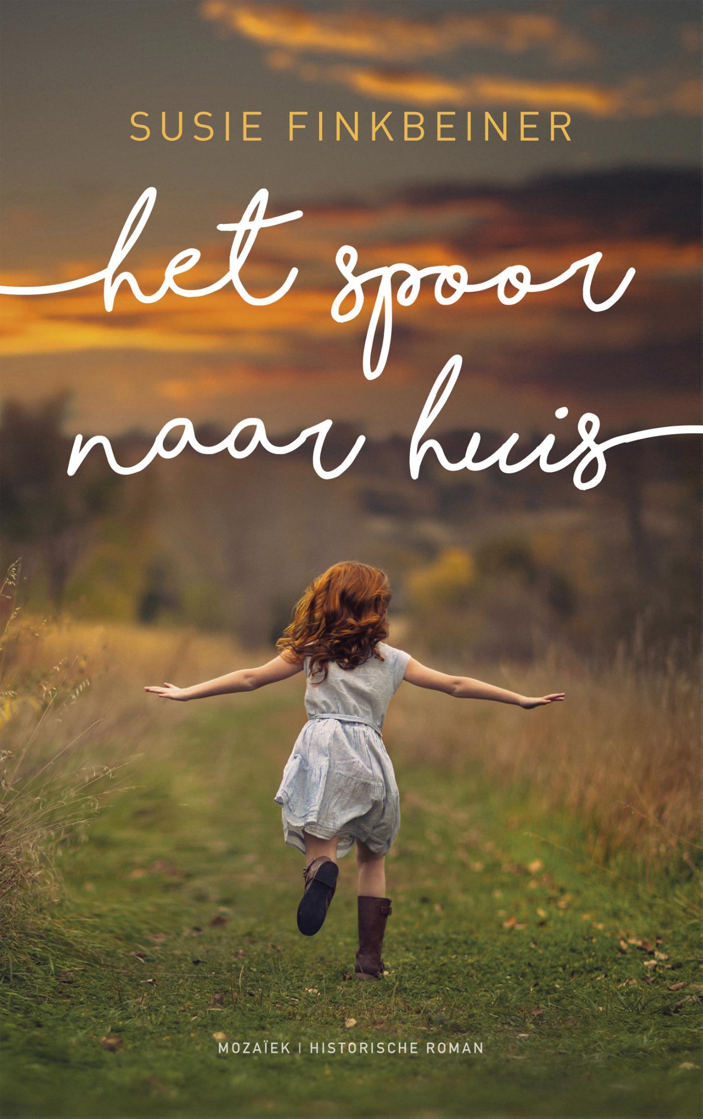 Productafbeelding: voorkant van Het spoor naar huis