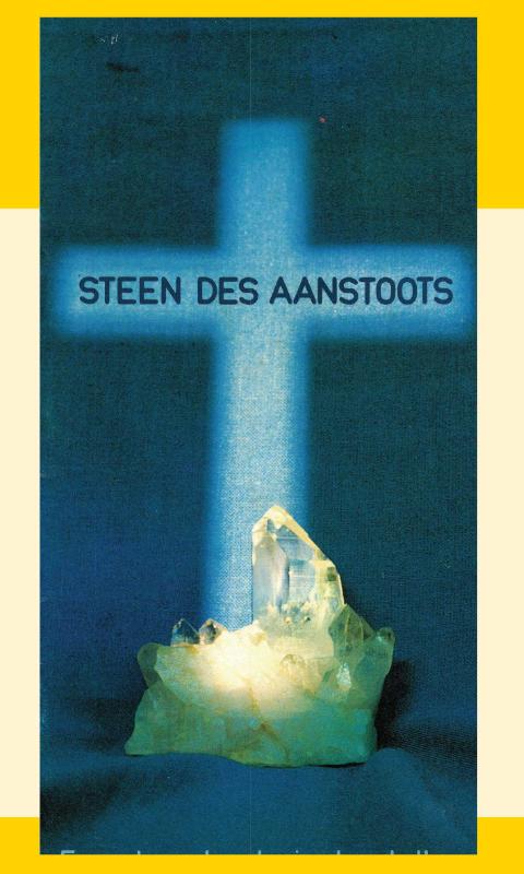 Productafbeelding: voorkant van Steen des aanstoots
