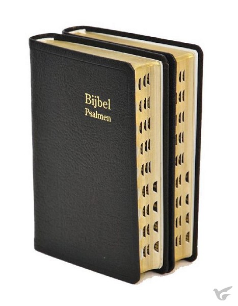 Productafbeelding: voorkant van Dameszakbijbel D34R RITMISCH leer goudsn