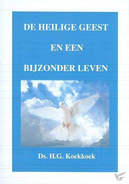 Productafbeelding: voorkant van Heilige Geest en een bijzonder leven