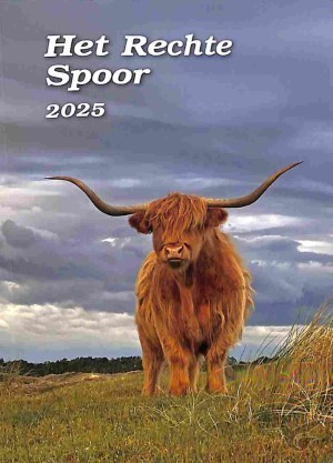 Productafbeelding: voorkant van Rechte spoor 2025