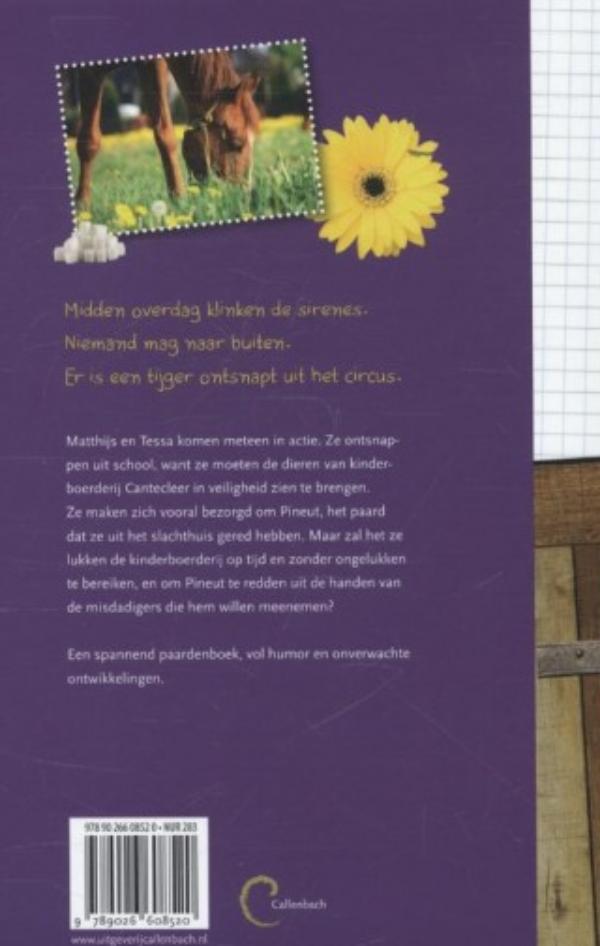 Productafbeelding: achterkant van Paard ontdekt