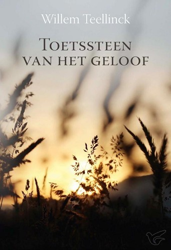 Productafbeelding: voorkant van Toetssteen van het geloof