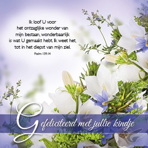 Productafbeelding: voorkant van Kaart gefeliciteerd met jullie kindje