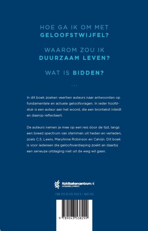 Productafbeelding: achterkant van Klimijzers