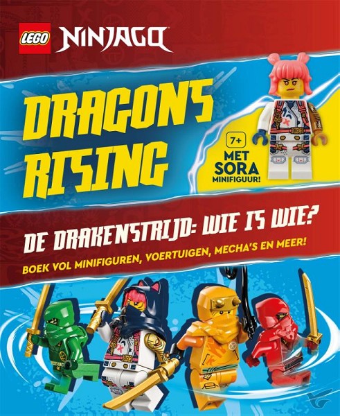 Productafbeelding: voorkant van Dragons rising