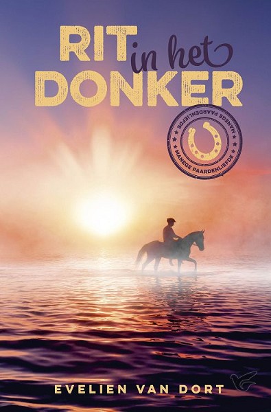 Productafbeelding: voorkant van Rit in het donker