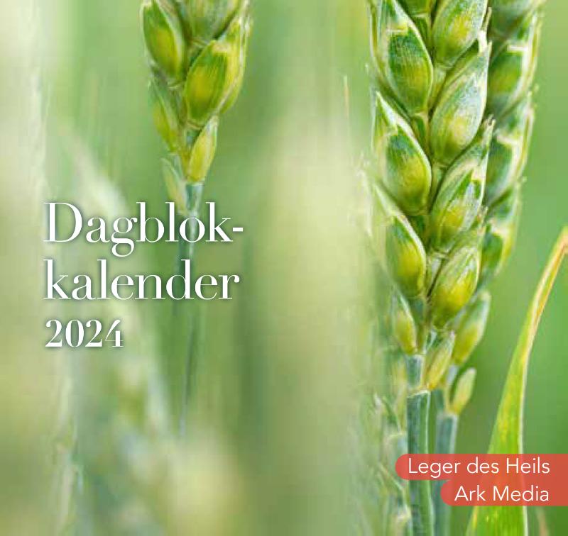 Productafbeelding: voorkant van Dag in dag uit 2024