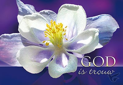 Productafbeelding: voorkant van Wenskaart God is trouw (bloem)