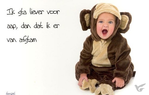Productafbeelding: voorkant van Prentbriefkaart ik sta liever voor aap