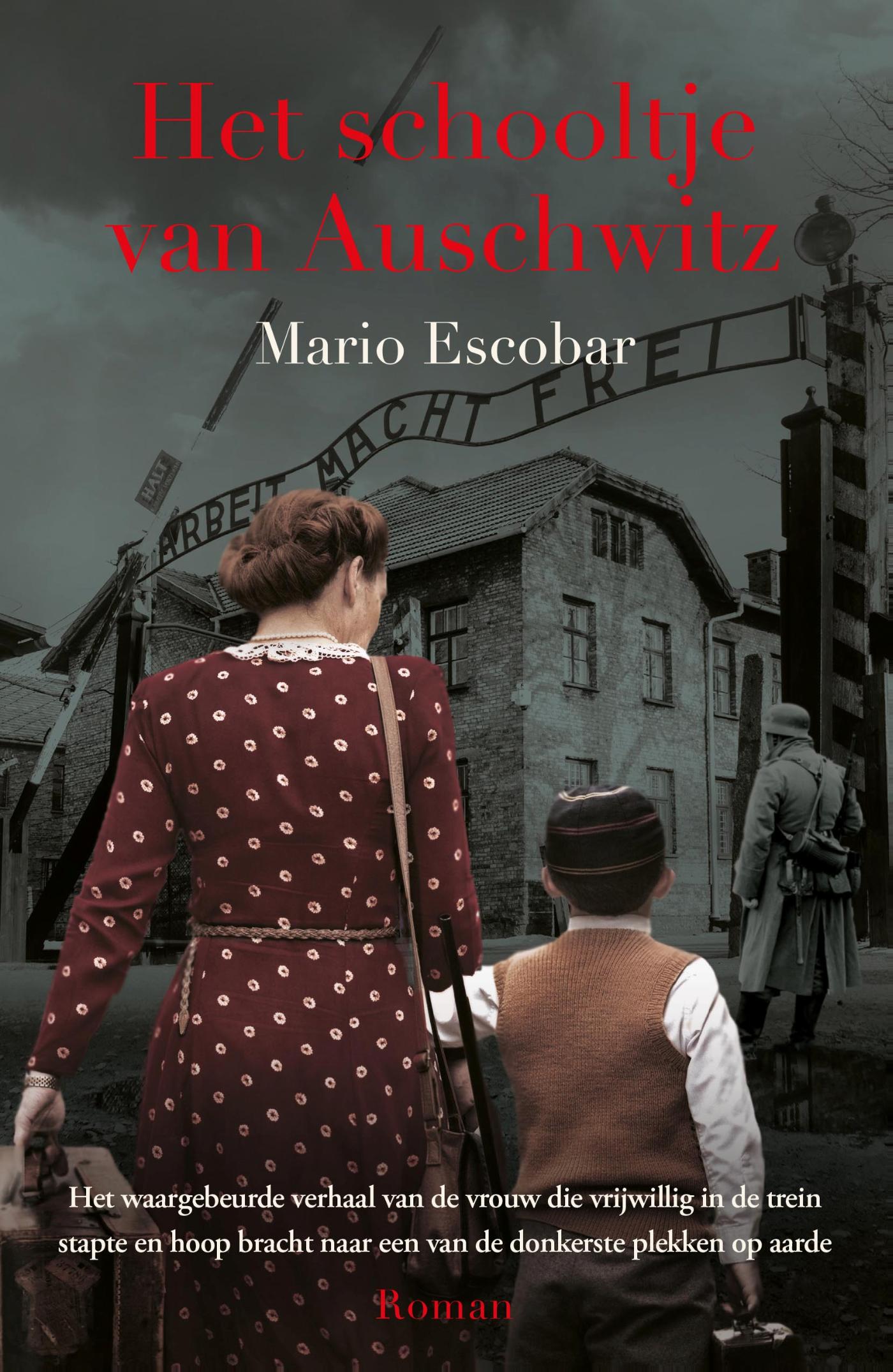 Productafbeelding: voorkant van Het schooltje van Auschwitz