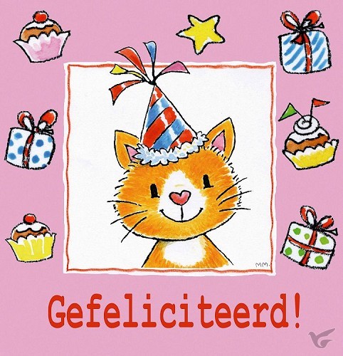 Productafbeelding: voorkant van Dubbele kaart 12x12 gefeliciteerd kat