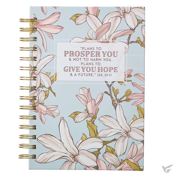 Productafbeelding: voorkant van Plans to Prosper You - Jeremiah 29:11