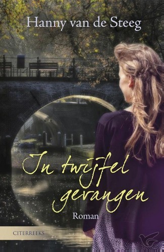 Productafbeelding: voorkant van In twijfel gevangen