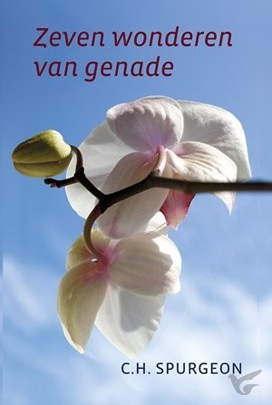 Productafbeelding: voorkant van Zeven wonderen van genade