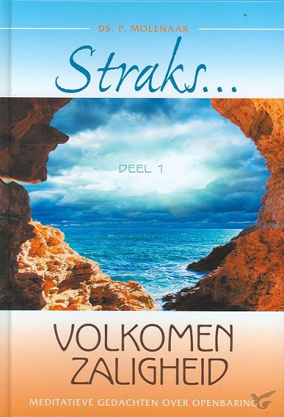 Productafbeelding: voorkant van Straks volkomen zaligheid 1