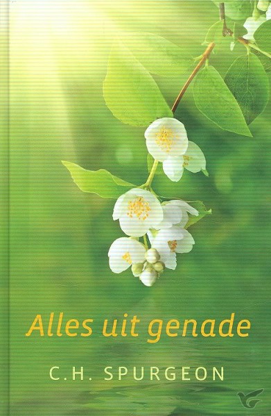 Productafbeelding: voorkant van Alles uit genade