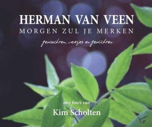 Productafbeelding: voorkant van Morgen zul je merken