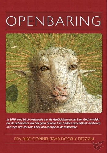 Productafbeelding: voorkant van Openbaring