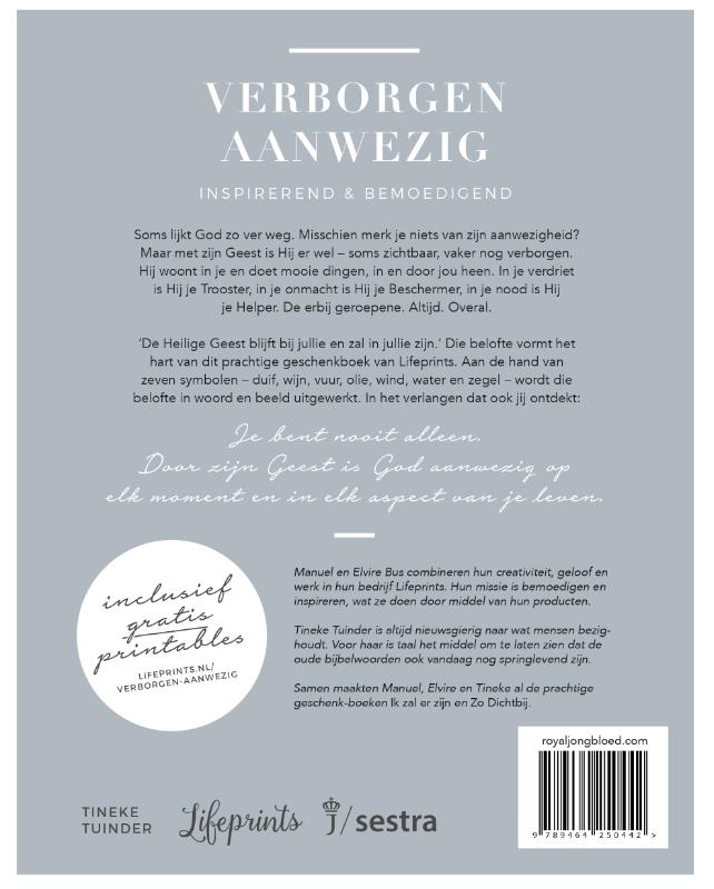 Productafbeelding: achterkant van Verborgen aanwezig