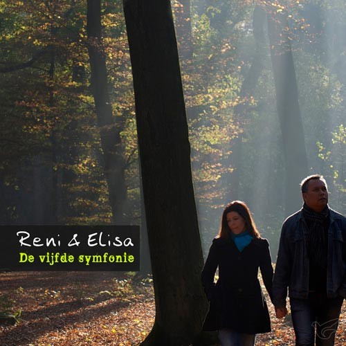 Productafbeelding: voorkant van De 5e symfonie