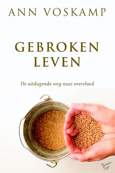 Productafbeelding: voorkant van Gebroken leven