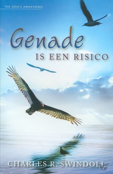 Productafbeelding: voorkant van Genade is een risico