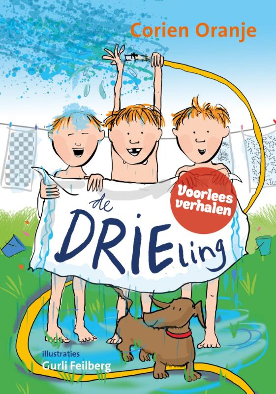 Productafbeelding: voorkant van De drieling
