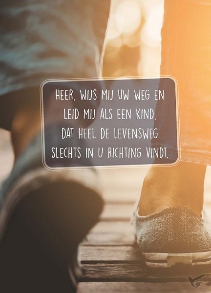 Productafbeelding: voorkant van Wenskaart Heer wijs mij Uw weg