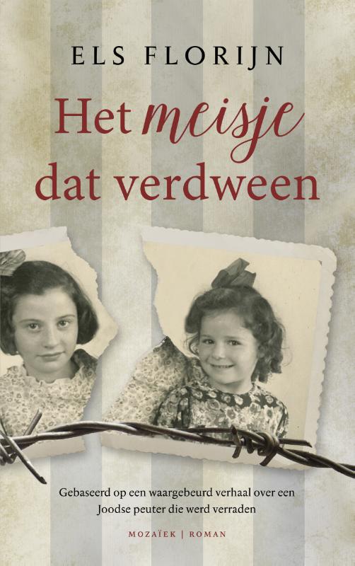 Productafbeelding: voorkant van Het meisje dat verdween