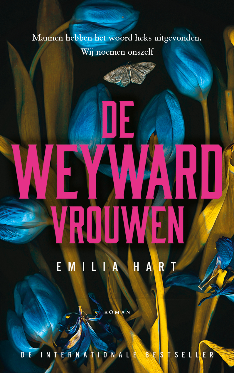 Productafbeelding: voorkant van De Weyward-vrouwen