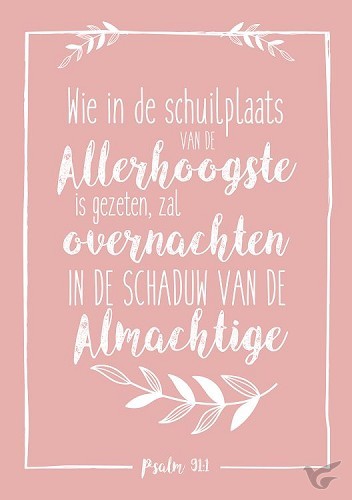 Productafbeelding: voorkant van Poster a5 hsv wie in de schuilplaats van