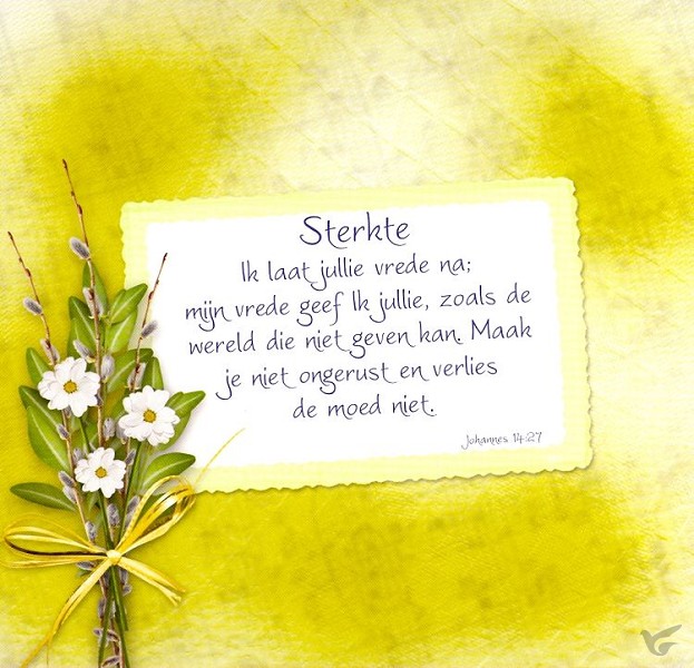 Productafbeelding: voorkant van Kaart m env sterkte ik laat jullie mijn