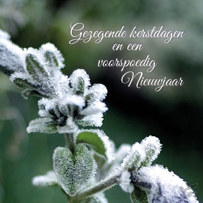 Productafbeelding: voorkant van Kerstkaart gezegende kerstdagen besneeuw