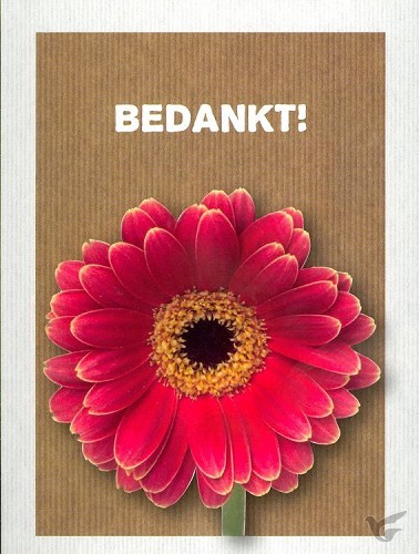 Productafbeelding: voorkant van Kaart bedankt