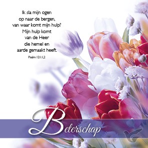 Productafbeelding: voorkant van Kaart beterschap
