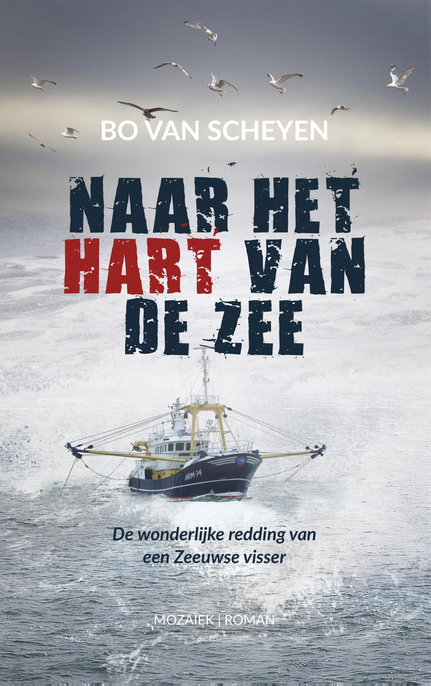 Productafbeelding: voorkant van Naar het hart van de zee