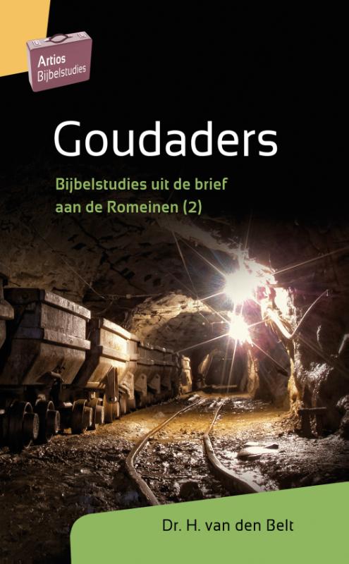 Productafbeelding: voorkant van Goudaders