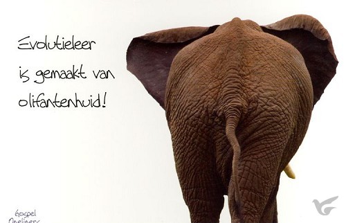 Productafbeelding: voorkant van Prentbriefkaart evolutieleer is gemaakt