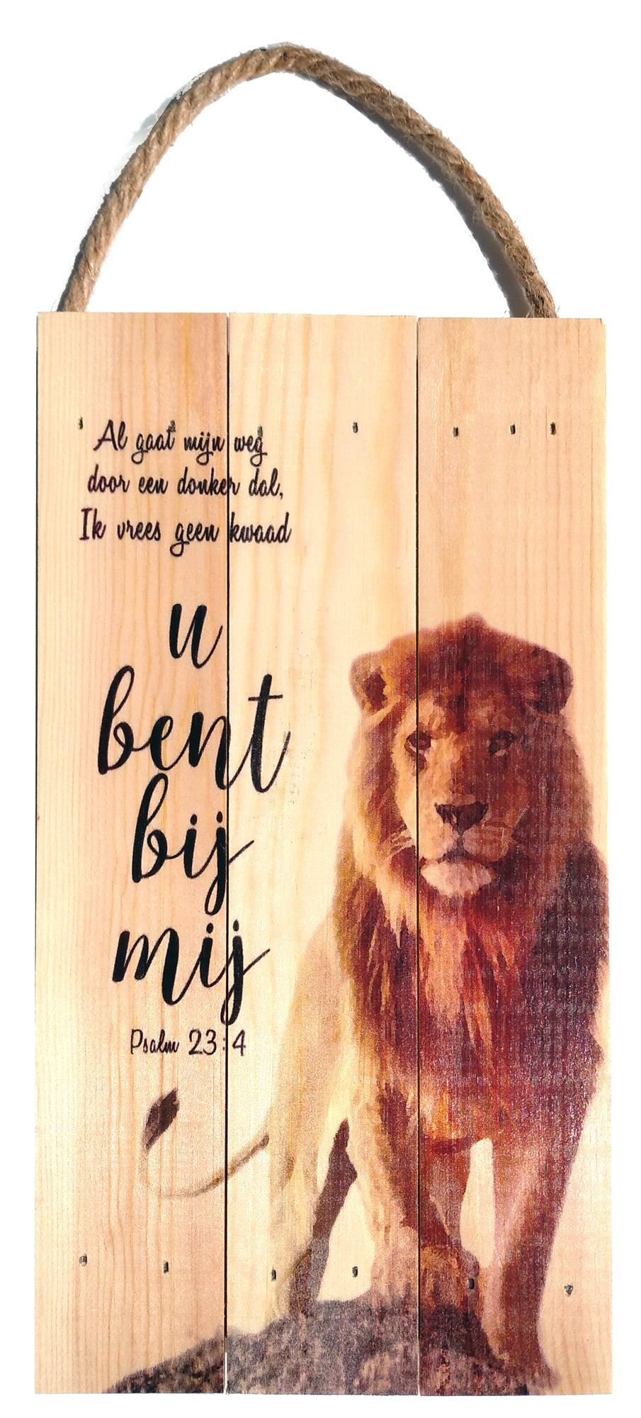 Productafbeelding: voorkant van Leeuw psalm 23