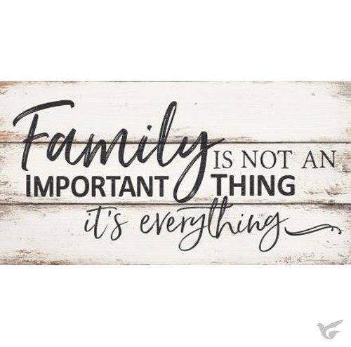Productafbeelding: voorkant van Family not important thing - everything