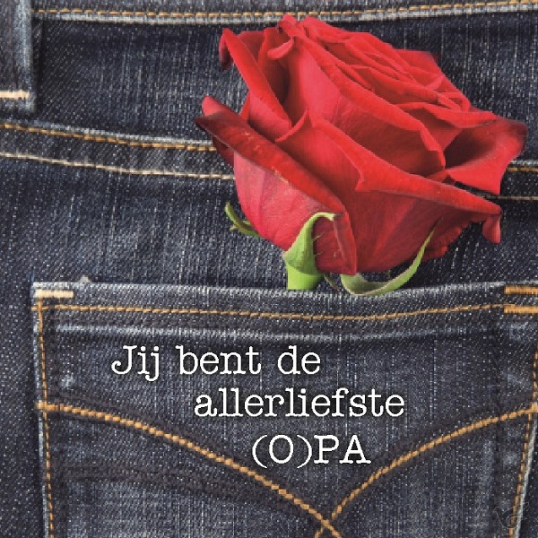 Productafbeelding: voorkant van Kaart jij bent de allerliefste (o)pa