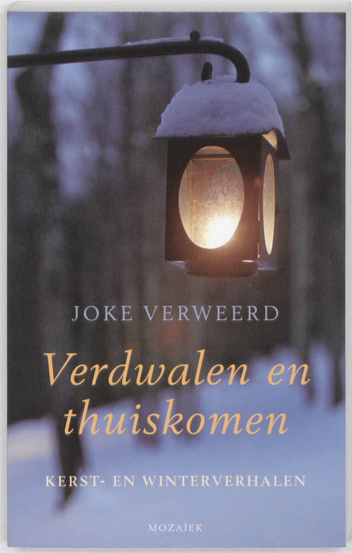 Productafbeelding: voorkant van Verdwalen en thuiskomen