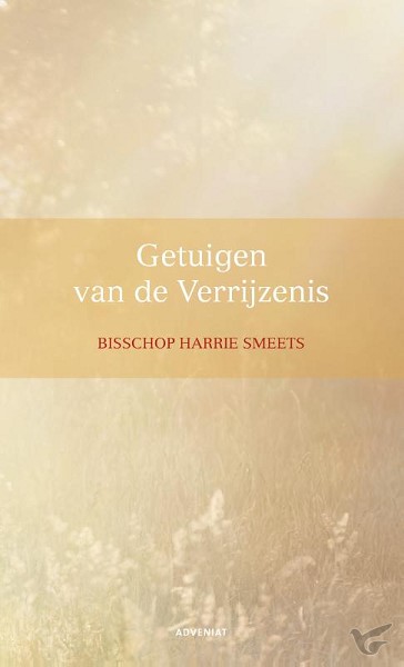 Productafbeelding: voorkant van Getuigen van de Verrijzenis